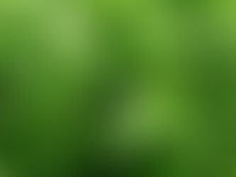 Botanically Balanced Toner and Acne Treatment Formulated from common ‘Chickweed’