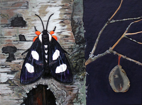 MES 6 Spotted Moth 2019 mixed media 10.5