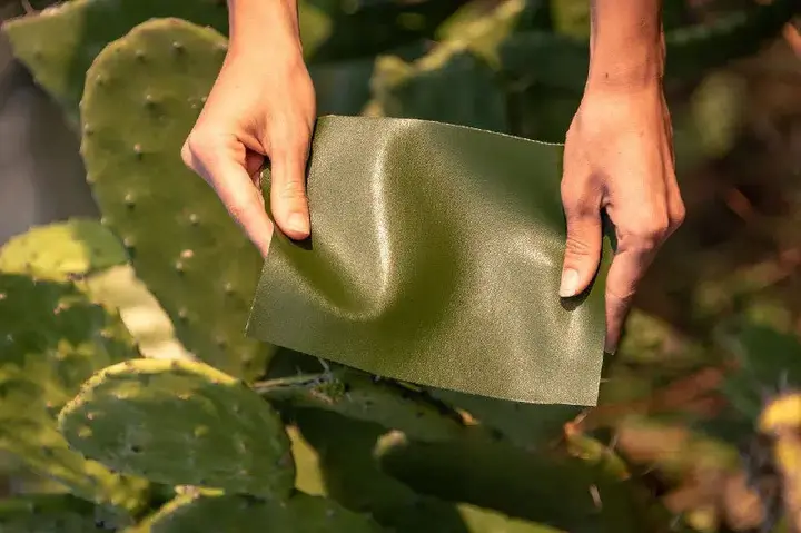 （圖片取自handbagio.com）