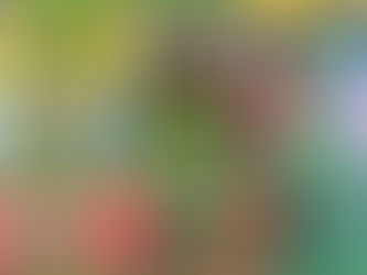 SESE - First and Second class are learning all about the lifecycle of the frog.