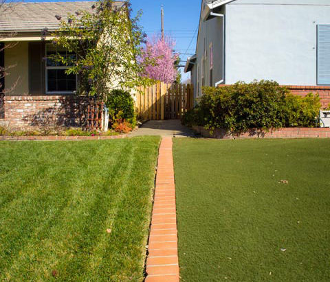 Property Line