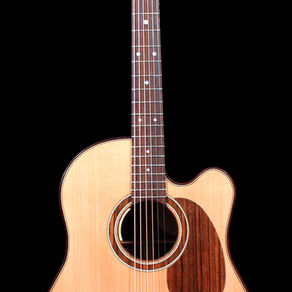 Acoustic guitar with Spruce top, Rosewood pickguard, and cutaway.