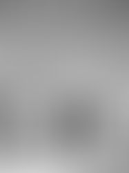 Meeting Street Memories First Scots Presbyterian Church at 57 Meeting St.