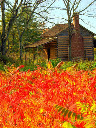 South Carolina’s Revolutionary Road: Five Essential Sites for Understanding America’s Foundings