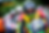 OChacal®MK3_4128_Hebert_PereiraFull