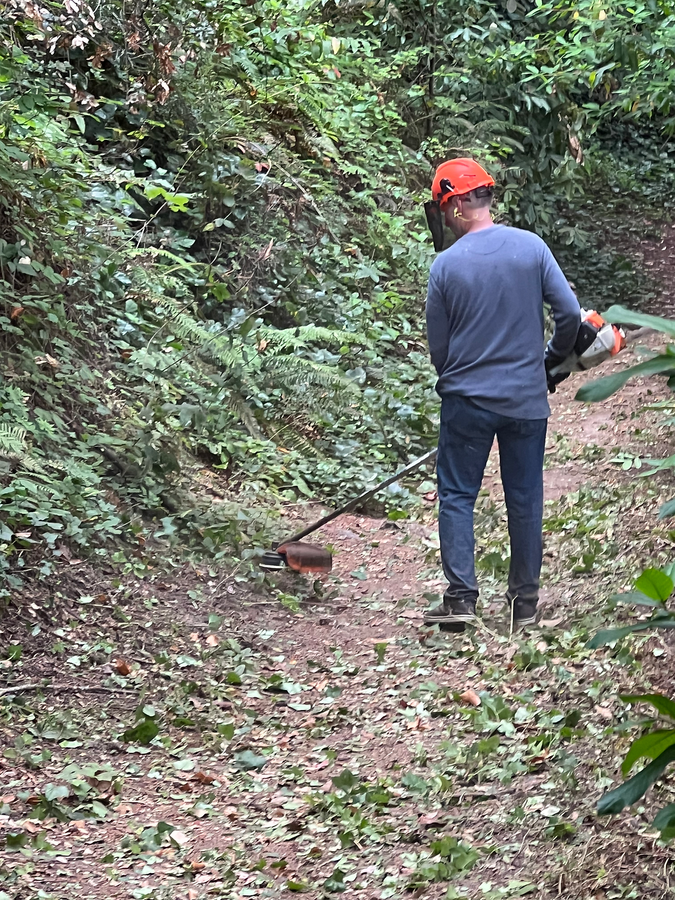 Oak Ridge Trail motorized whackers to blaze the trails.