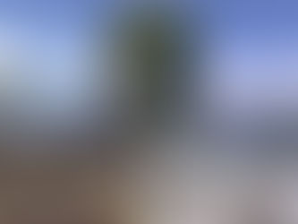 기후재난리포트12 ⑪ 해양산성화 | 해양산성화,생물종다양성 파괴, 인류생존까지 위협