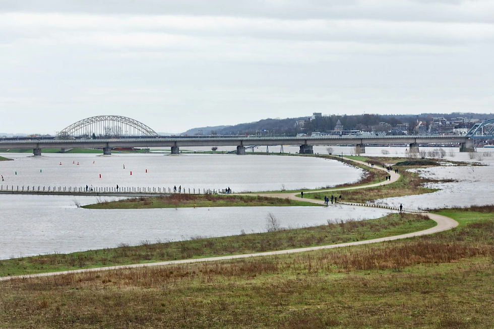 네덜란드 Room for the River 프로젝트의 IJsseldelta 지역. 사진. rijkswaterstaat