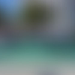 기획특집 | 산불특별법