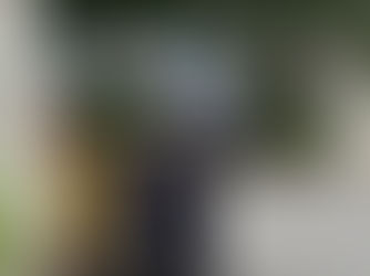 기후재난리포트12 ④ 폭염 | '이상'한 날씨가 '이상하지 않은' 시대로