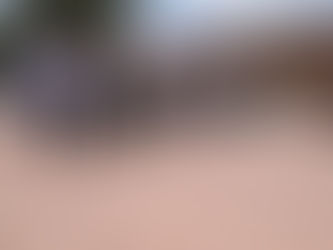 Se entregan obras en El Carrizal 