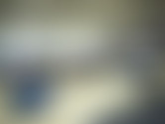 Kuri arrancó el Voluntariado Contigo y Voluntariado Servir