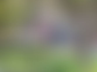 Realiza Municipio Jornada de limpieza en el Centro Histórico