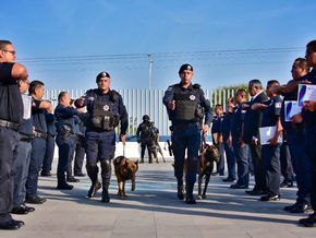 “Hulk” y “Moon”, perros policías de Corregidora se jubilan