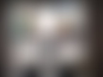 Estrechan lazos Querétaro y Suecia