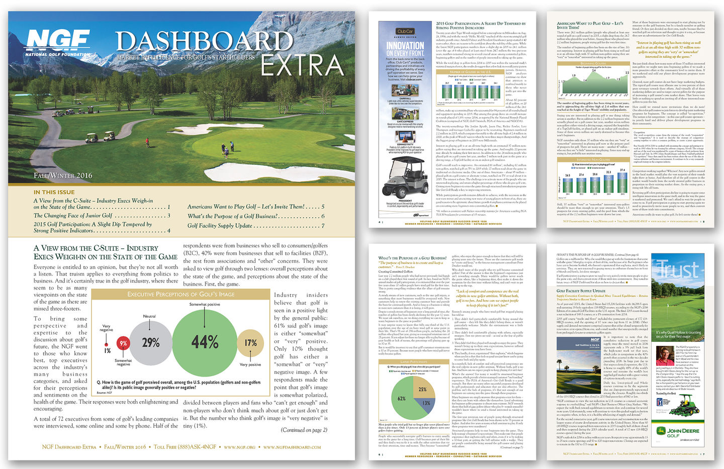 NGF Dashboard Extra Newsletter