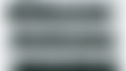 Class of '93 Reunion