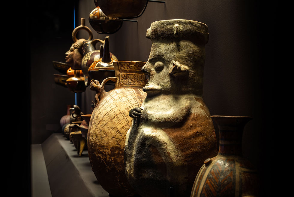 Les nouvelles vitrines du Musée - photo © D.A.