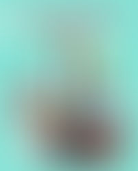 Les guinguettes de l'été 2024