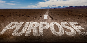 purpose (1) (1).png