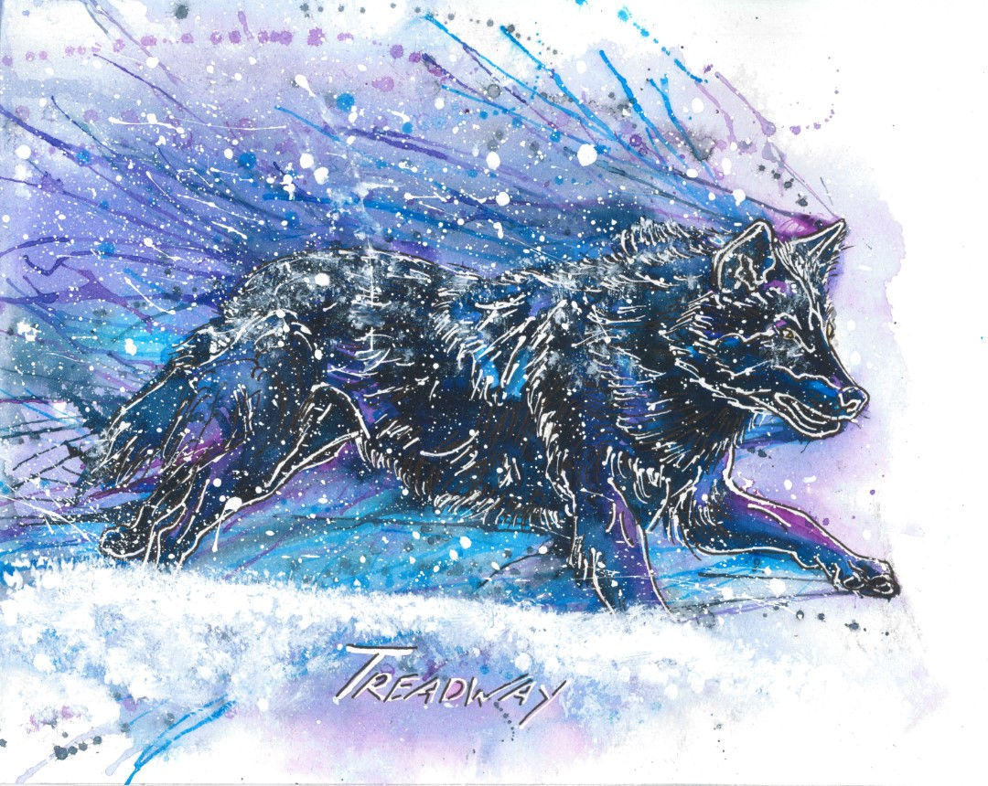 Wolves Do Not Lose Sleep Over the Opinion of Sheep