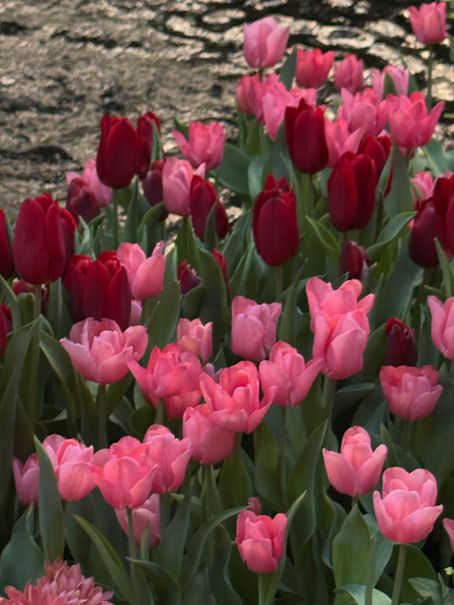 Springtime