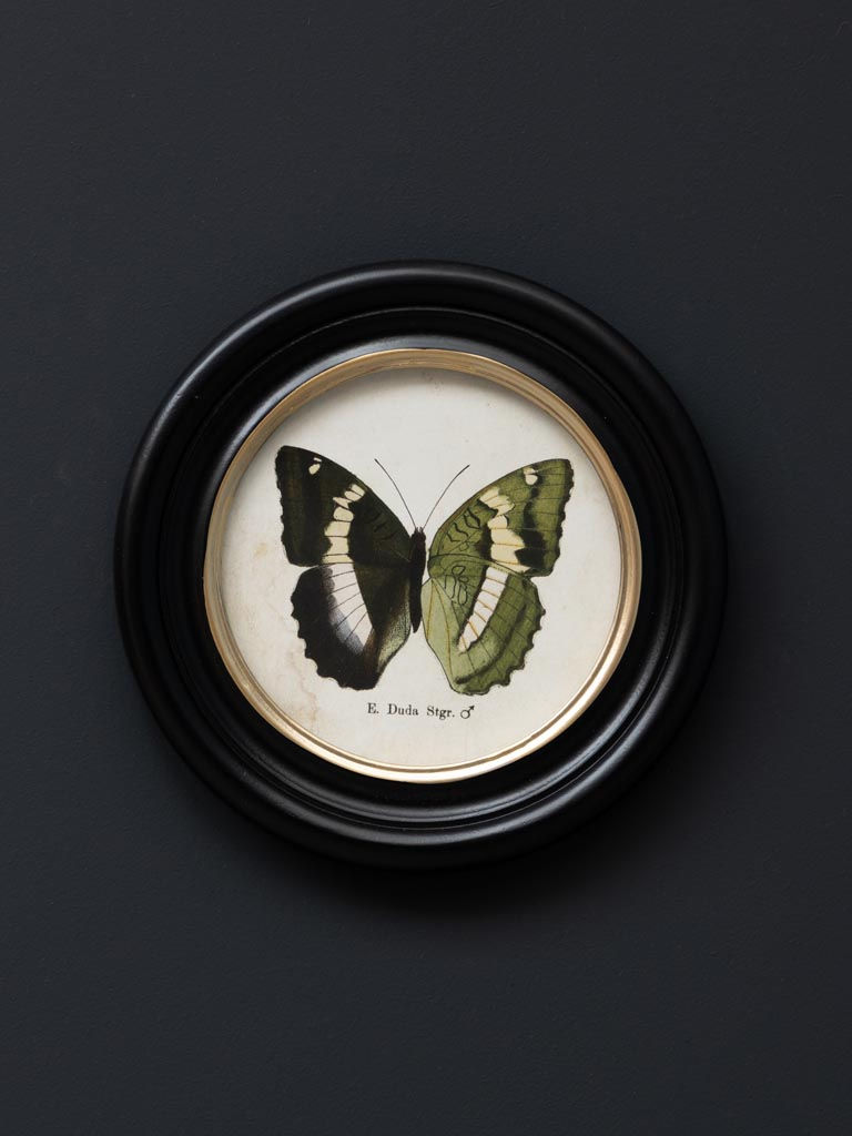 Thumbnail: Set of 4 round framed coloured butterfly