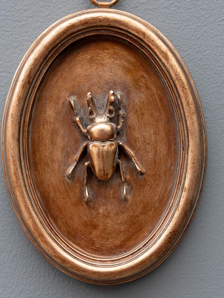 Thumbnail: Oval copper frame with beetle B