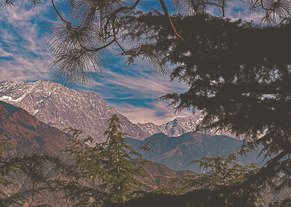 Sacred Becoming: An Elemental Journey Intro Event