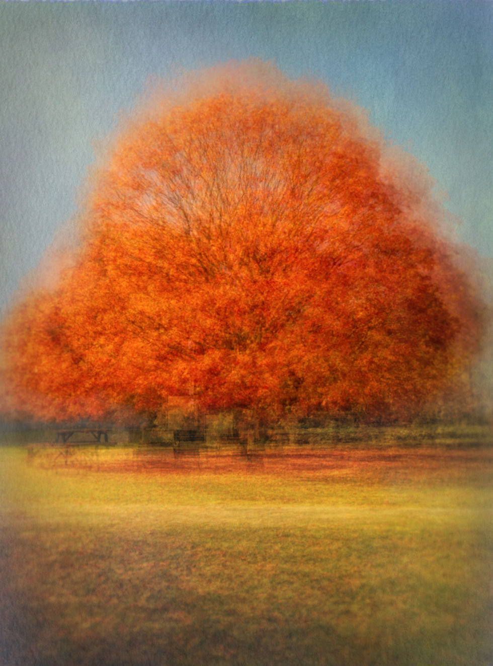 Autumn Splendor