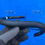 Thumbnail: STIHL Genuine MS361 Half Wrap "Arctic" Heated Handle NLA  # 1135 790 1702