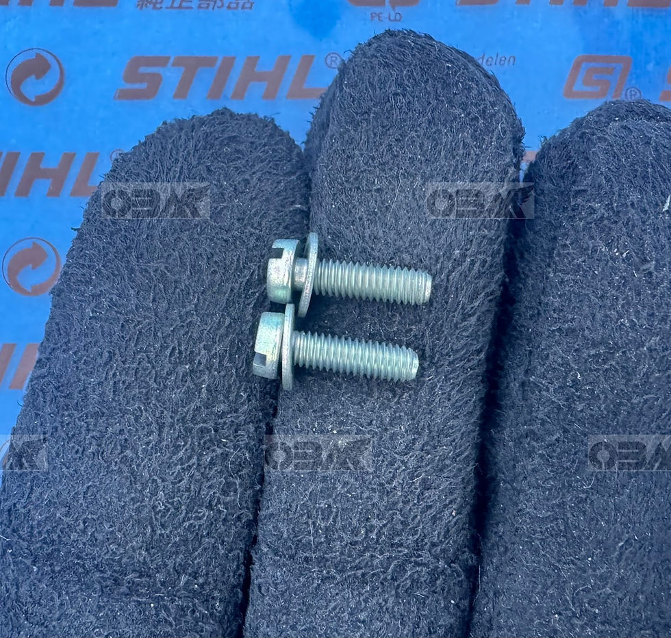 Thumbnail: STIHL Genuine Stator Plate Screws (2) M4 x 14mm  # 9021 319 0670