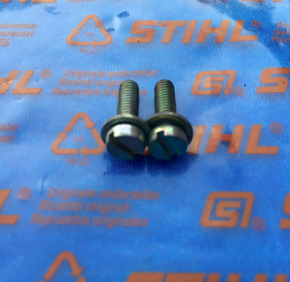 STIHL Genuine Stator Plate Screws (2) M4 x 14mm  # 9021 319 0670