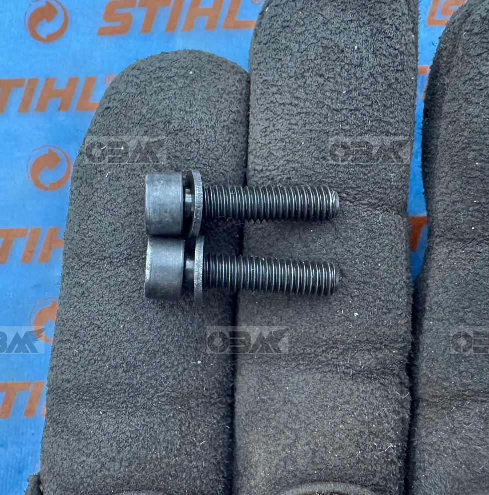 STIHL Genuine M5 x 20mm x 2  (2) SHC for 070AV 090AV etc  #9036 341 1020