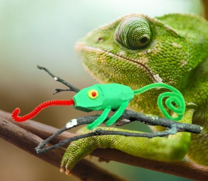 Chamäleon "Henriette"