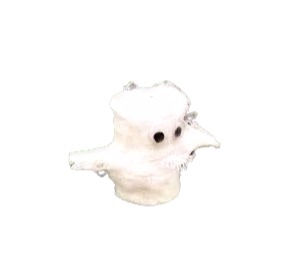 Miniaturbild: Mumie "Tutanchamun"