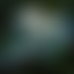 Дикий Робот