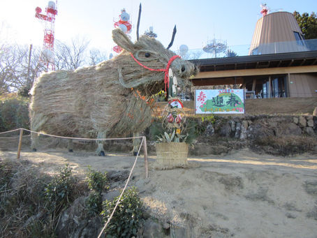 新年おめでとうございます