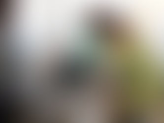 浴室にシャワーキャリーを設置しました