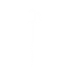 Logo Bonaparte Mídias