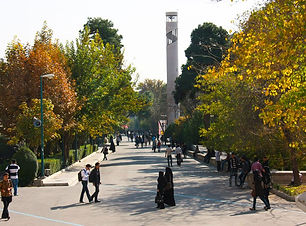 School-of-Allied-Medical-Sciences-TUMS.j