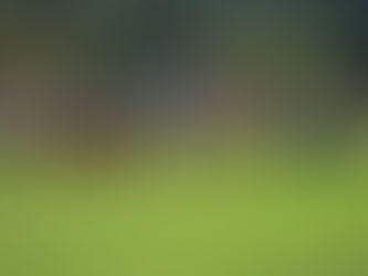 0:1 - Erste Männer gewinnen in Caputh