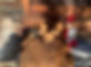 412349639_10228511596147615_3598232453824305120_n.jpg