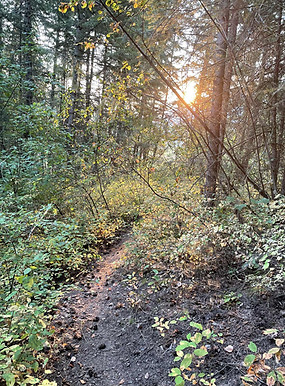 Walking trails at Cedar Hill Experiences