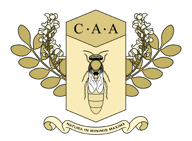 CAA_logo.gif