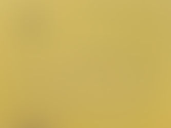 How to Change Your Address in the Church Database if You Relocate in Airoli