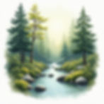 Woodland Stream Scene