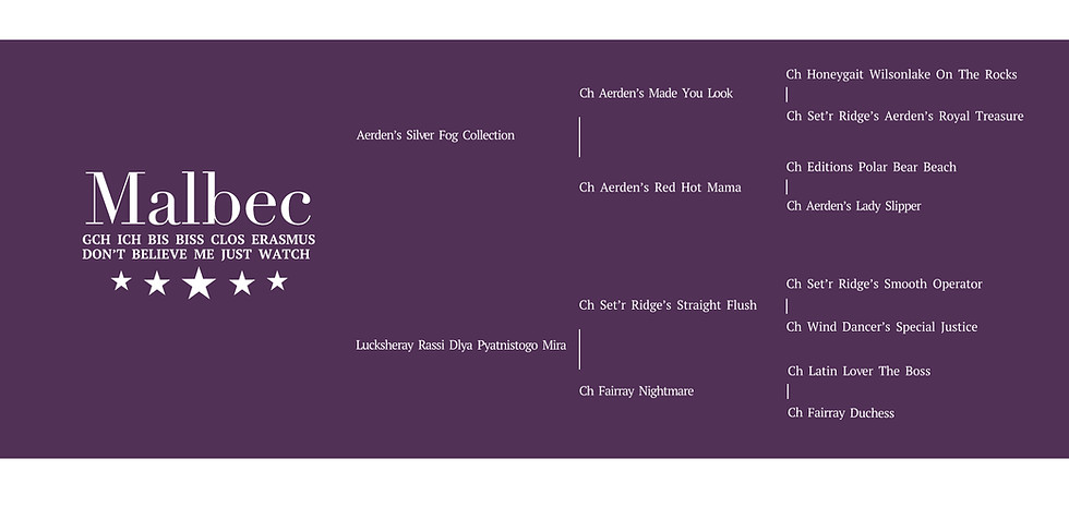 malbec_pedigree_web.jpg