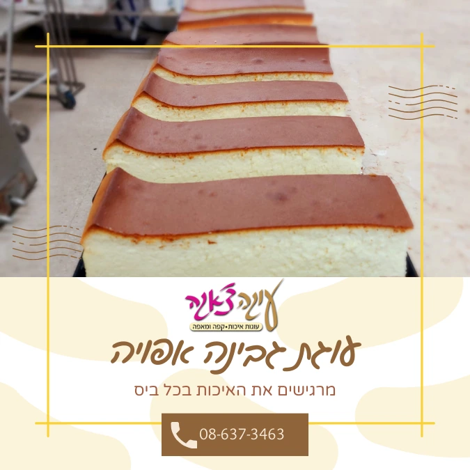 עוגת גבינה אפויה של עוגה צ'אגה
