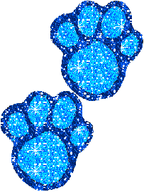 huella-03